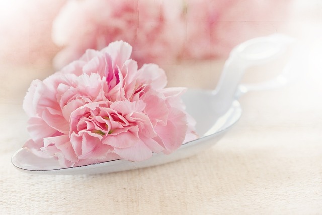 flower-1357109_1280.jpg